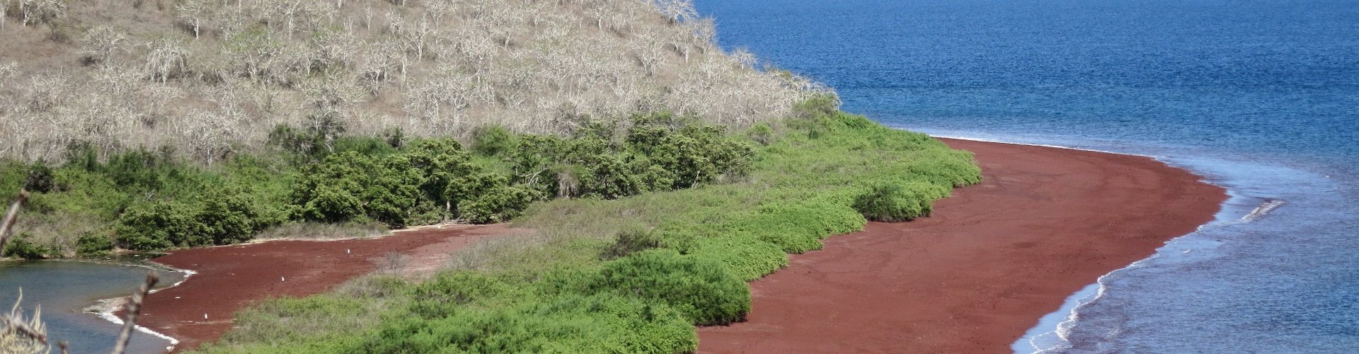 Rabida Island, Galápagos: The Red Beach Island